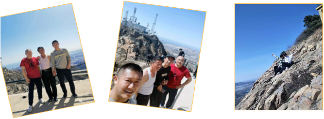 ������-�������¡�����ȫ�Ĳ�Ʊ��Ϣ��Ѷ