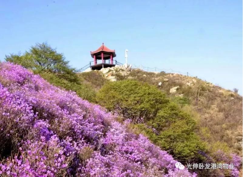 ¼ª²ÊÍø-·ÖÏí×îС¢×îÖÜÈ«µÄ²ÊƱÐÅÏ¢×ÊѶ