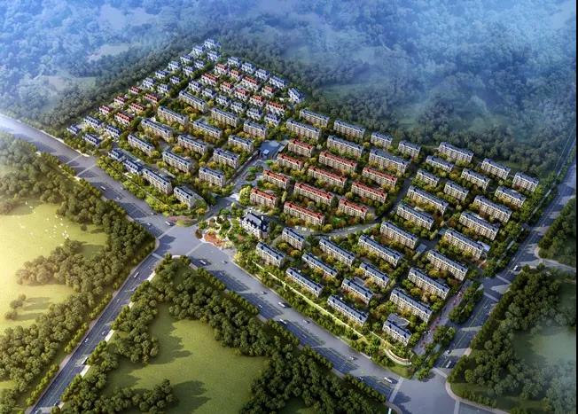 ������-�������¡�����ȫ�Ĳ�Ʊ��Ϣ��Ѷ