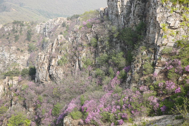 ¼ª²ÊÍø-·ÖÏí×îС¢×îÖÜÈ«µÄ²ÊƱÐÅÏ¢×ÊѶ