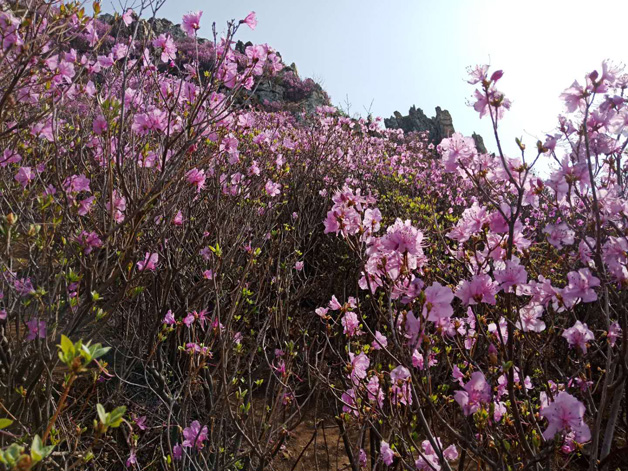 ¼ª²ÊÍø-·ÖÏí×îС¢×îÖÜÈ«µÄ²ÊƱÐÅÏ¢×ÊѶ