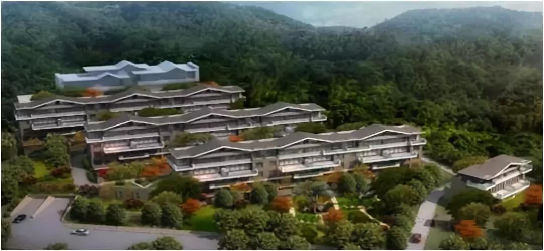 ������-�������¡�����ȫ�Ĳ�Ʊ��Ϣ��Ѷ