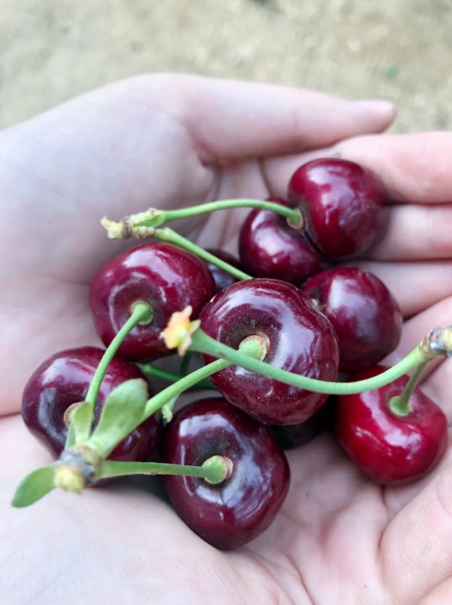 吉彩网-分享最新、最周全的彩票信息资讯