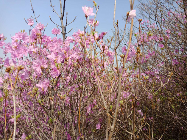 ¼ª²ÊÍø-·ÖÏí×îС¢×îÖÜÈ«µÄ²ÊƱÐÅÏ¢×ÊѶ